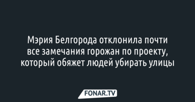 Мэрия Белгорода отклонила почти все замечания горожан по проекту, который обяжет людей убирать улицы