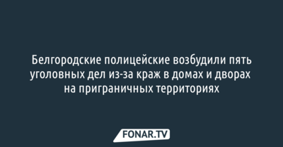 Белгородские полицейские возбудили пять уголовных дел из-за краж в приграничных районах