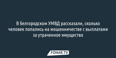 Четыре случая мошенничества с выплатами из-за обстрелов ВСУ расследуют в Белгородской области