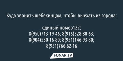 Куда звонить шебекинцам, чтобы выехать из города из-за обстрелов