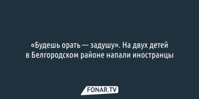 «Будешь орать — задушу». На двух детей в Белгородском районе напали иностранцы