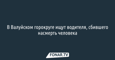 В Валуйском горокруге ищут водителя, сбившего насмерть человека 