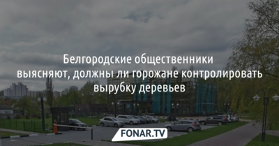 Белгородские общественники выясняют, должны ли горожане контролировать вырубку деревьев
