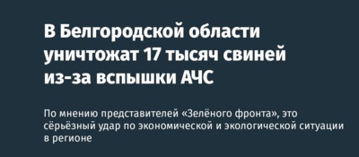 ​В Белгородской области уничтожат 17 тысяч свиней из-за вспышки АЧС [обновлено]