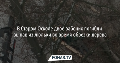 В Старом Осколе двое рабочих погибли выпав из люльки во время обрезки дерева