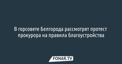 В горсовете Белгорода рассмотрят протест прокурора на правила благоустройства