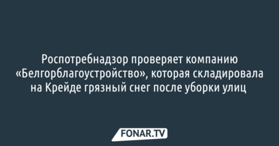 Роспотребнадзор проверяет компанию «Белгорблагоустройство», которая складировала на Крейде грязный снег после уборки улиц