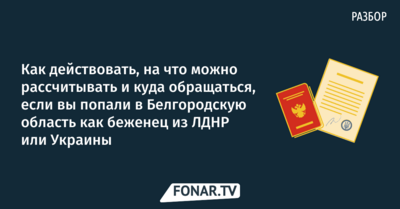 Куда обращаться и что делать, если вы попали в Белгородскую область по «​зелёному коридору» из Украины​ и ЛДНР