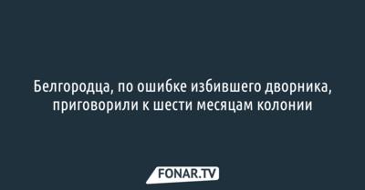 Белгородца, по ошибке избившего дворника, приговорили к шести месяцам колонии