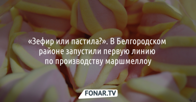 «Зефир или пастила?». В Белгородском районе запустили первую линию по производству маршмеллоу